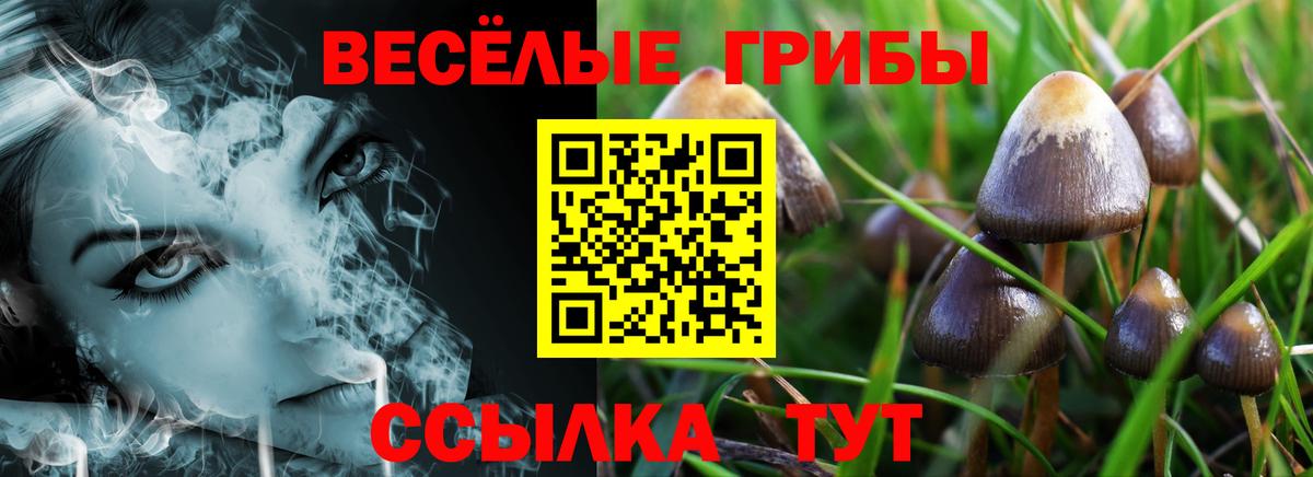 Галлюциногенные грибы мухоморы  Псилоцибиновые грибы мицелий  Тобольск  Вход с VPN 